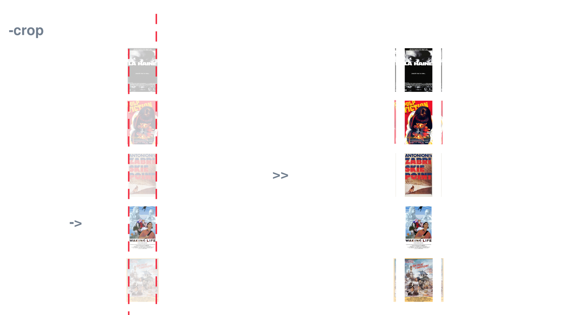 crop strategy graph